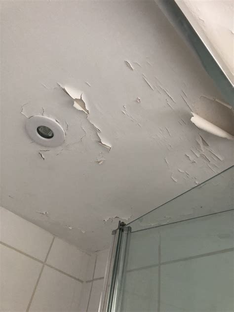 bathroom ceiling paint peeling - Payments Cyberzine Photo Galleries