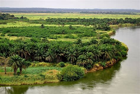 Kasai River - WorldAtlas