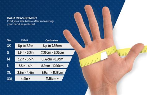 Glove Size Chart - AMMEX - Your Glove Partner