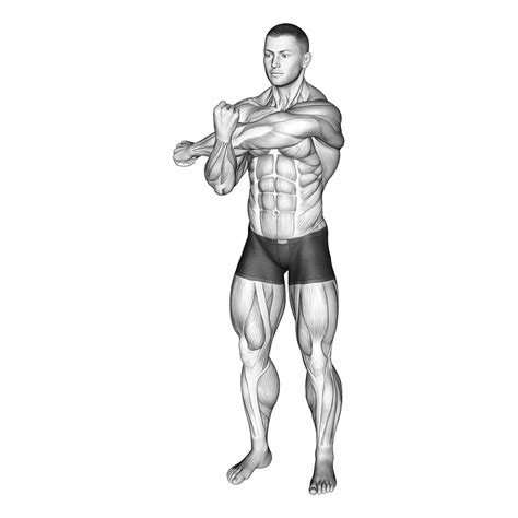 3 Best Rear Deltoid Stretches (with Pictures!) - Inspire US