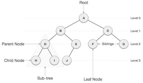 Tree Data Structure