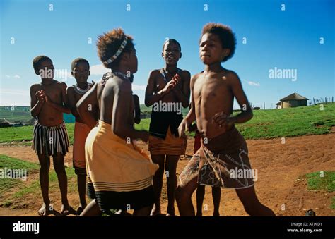 Children performing traditional Zulu dance, South Africa Stock Photo ...