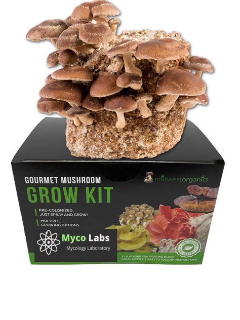 Shiitake Mushroom Grow Kit (5lbs)