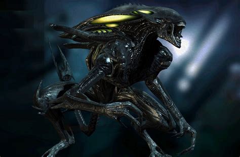 Xenomorph Types: Alien Lifecycle And All Variants | AvP Central