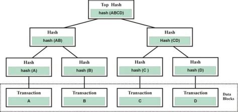 An example of Merkle Tree | Download Scientific Diagram