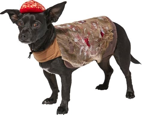 FRISCO Zombie Dog & Cat Costume, X-Large - Chewy.com