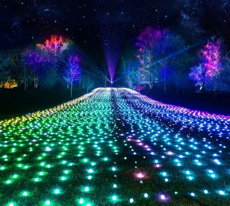 Lightscape at Fort Worth Botanic Garden opens Friday. Here’s what’s new ...