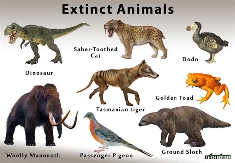 Animals That Are Extinct 2024 Uk - Candi Rosemaria