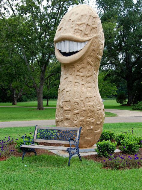 This statue of a giant peanut with Jimmy Carter's smile : r/ATBGE