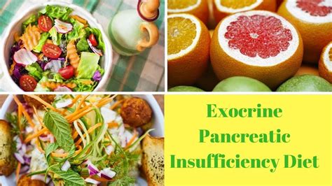 Exocrine Pancreatic Insufficiency Diet | Diet