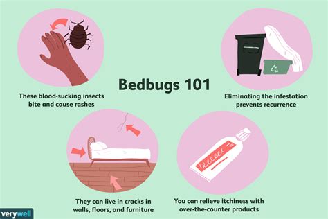 Bedbug Tips: Self-Care, Medication, and Extermination