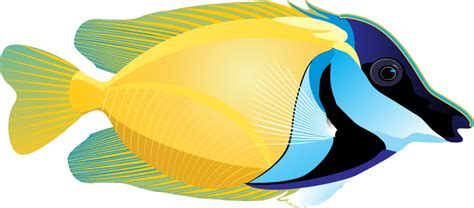 Free Tropical Fish Cliparts, Download Free Tropical Fish Cliparts png ...