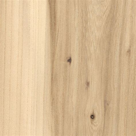 American Elm | The Wood Database - Lumber Identification (Hardwood)