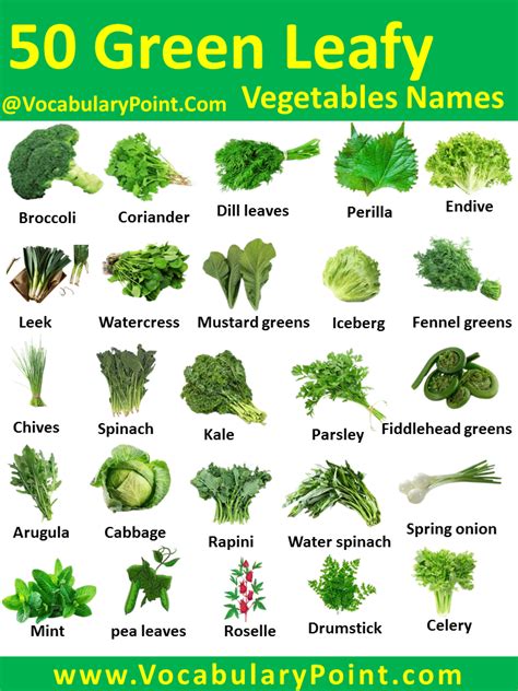 50+ Green Leafy Vegetables Names in English With Pictures - Vocabulary ...