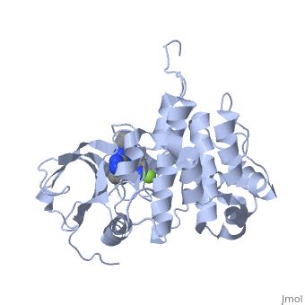 Insulin-like growth factor receptor - Proteopedia, life in 3D