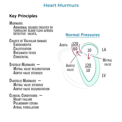 Aortic Valve Disease Causes Symptoms Exercises And