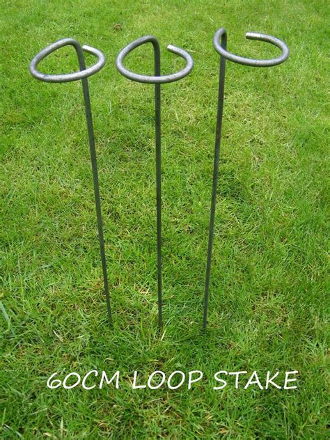 Loop Plant Support Stake (Single) 60cm Tall | Plant supports, Framed ...