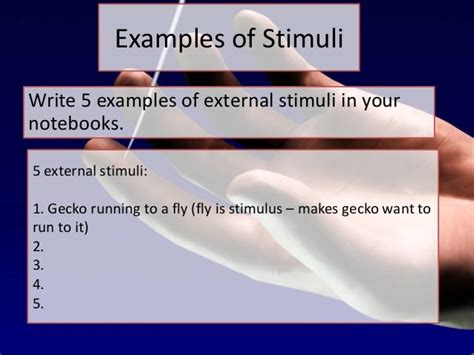 Stimuli lesson 1