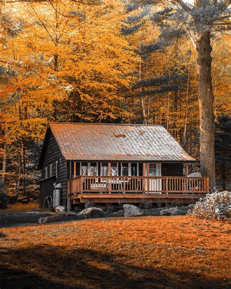 A cabin in the woods in the Adirondack mountains : r/CozyPlaces