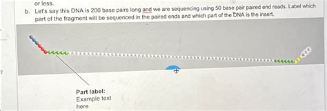 Solved or less.b. ﻿Let's say this DNA is 200 ﻿base pairs | Chegg.com