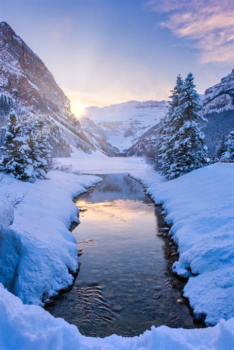 12 Amazing Things to Do in Lake Louise in The Winter - The Banff Blog