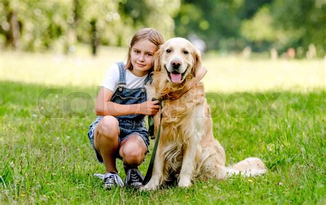 Girl with golden retriever dog | Stock image | Colourbox