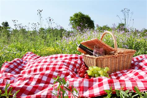 Picnic Wallpapers - Top Free Picnic Backgrounds - WallpaperAccess