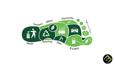 The Basics of a Carbon Footprint - EcoMatcher