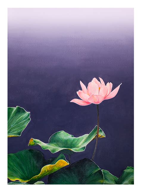 Pin by John Markese on Flower watercolor | Lotus flower painting ...