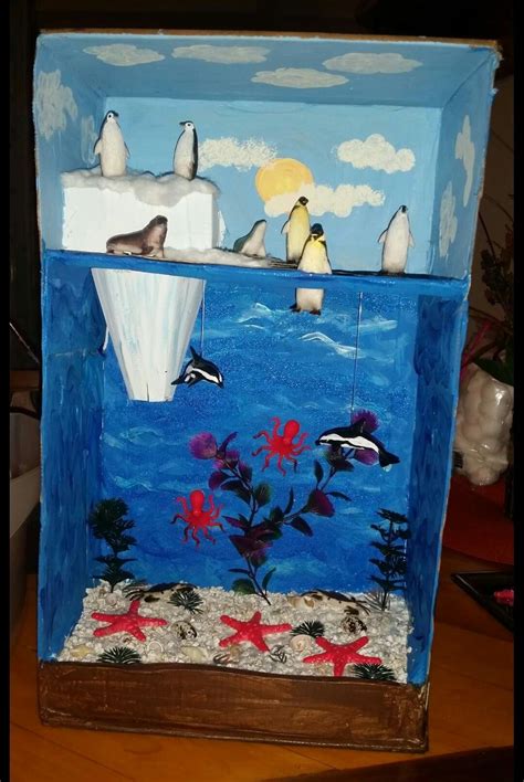 Arctic Habitat Diorama 2nd grade project | LGM DIY | Pinterest ...