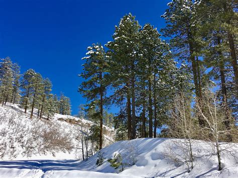 Impression Evergreen: San Juan National Forest - A Faraway Land