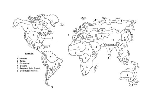 Worksheetplace.com: Biomes