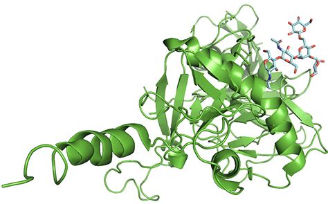 Structure and function of beta-2-glycoprotein i in sle and aps | UCL ...