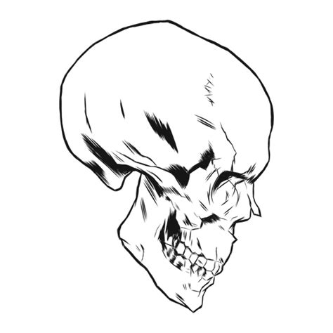 Top View Skull Hand-drawn - Transparent PNG & SVG Vector File