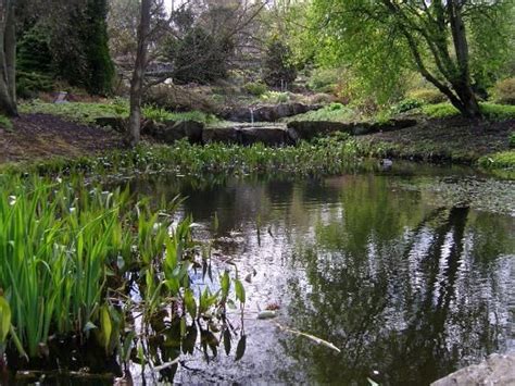 St Andrews Botanic Gardens: Such magnificent grounds! Fife Scotland, St ...