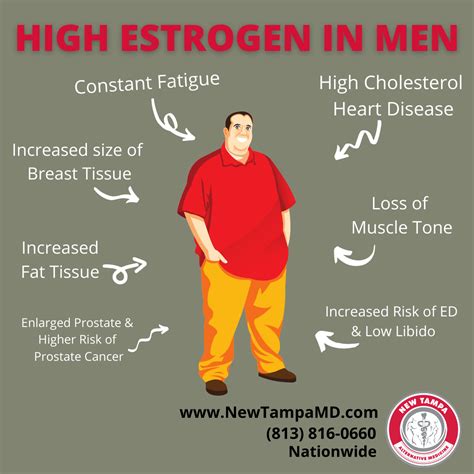 Excess Estrogen In Men