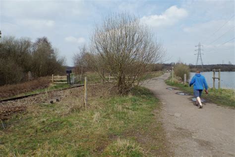 Dog walk at Chasewater Country Park · West Midlands · Walkiees