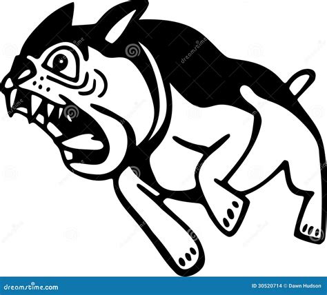 Angry Dog Stock Images - Image: 30520714