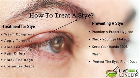 Anatomy Of A Stye - ANATOMY