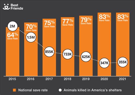 Animal Welfare and Pet Adoption Statistics | Best Friends Animal Society