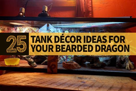 25 Bearded Dragon Tank Decor Items - Bearded Dragon Guru