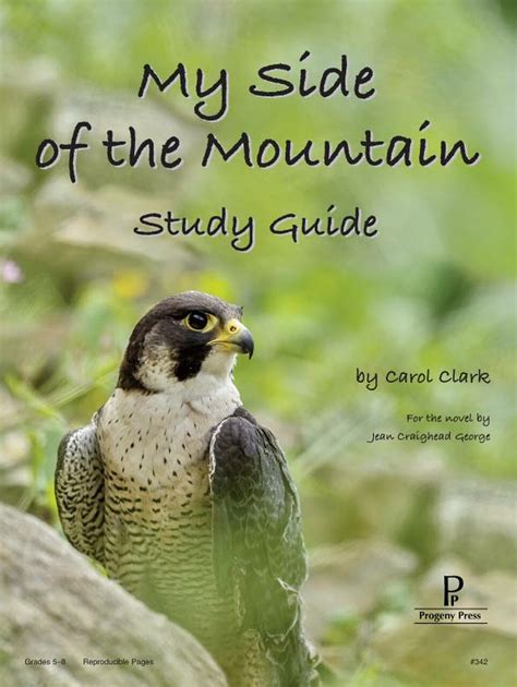 My Side of the Mountain - Study Guide - SCAIHS South Carolina ...