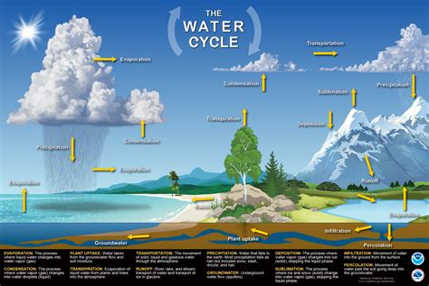 JetStream Max: Water Cycle Poster | National Oceanic and Atmospheric ...