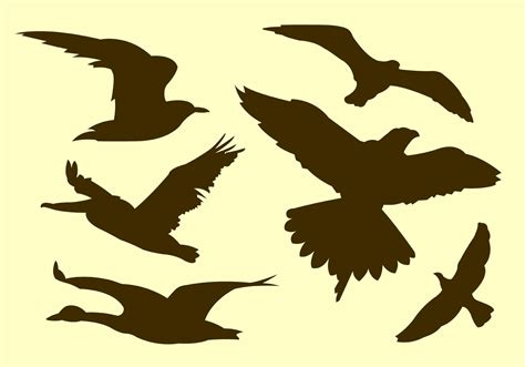 Vector Collection of Flying Bird Silhouettes - Download Free Vector Art ...