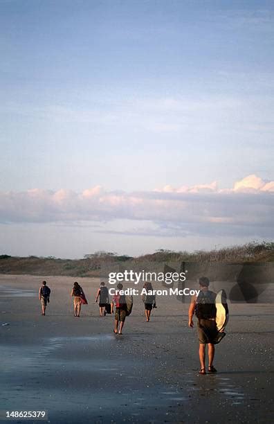 121 Tamarindo Wildlife Refuge Stock Photos, High-Res Pictures, and ...