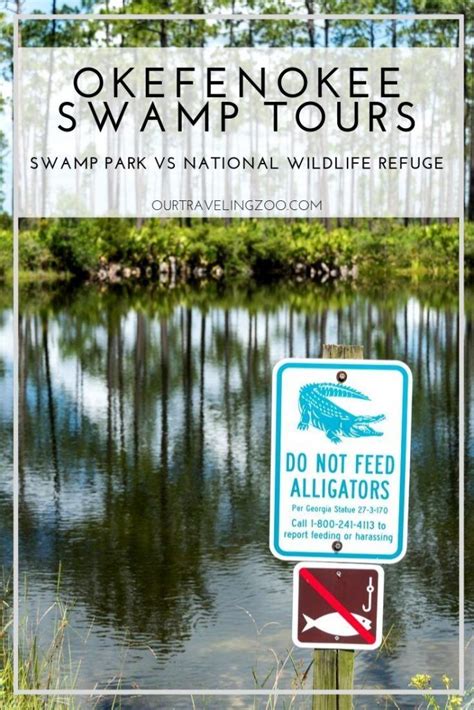 Okefenokee Swamp Tours: Which One to Pick? | Our Traveling Zoo | Swamp ...