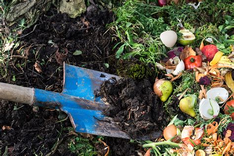 Types of Composting - Elevate Packaging