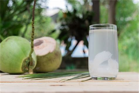 The Numerous Benefits of the Electrolyte Coconut Water - WanderGlobe