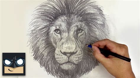 How To Draw a Lion | YouTube Studio Sketch Tutorial