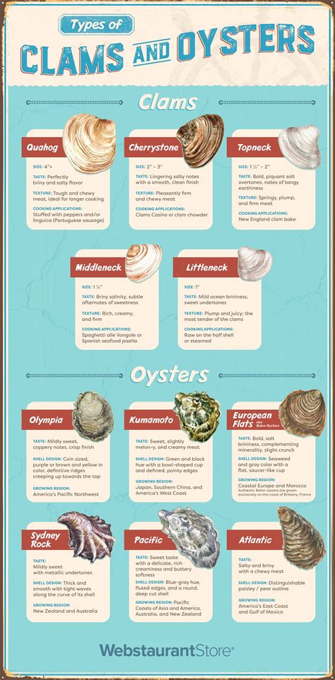 Types of Oysters & Clams: The Differences Explained